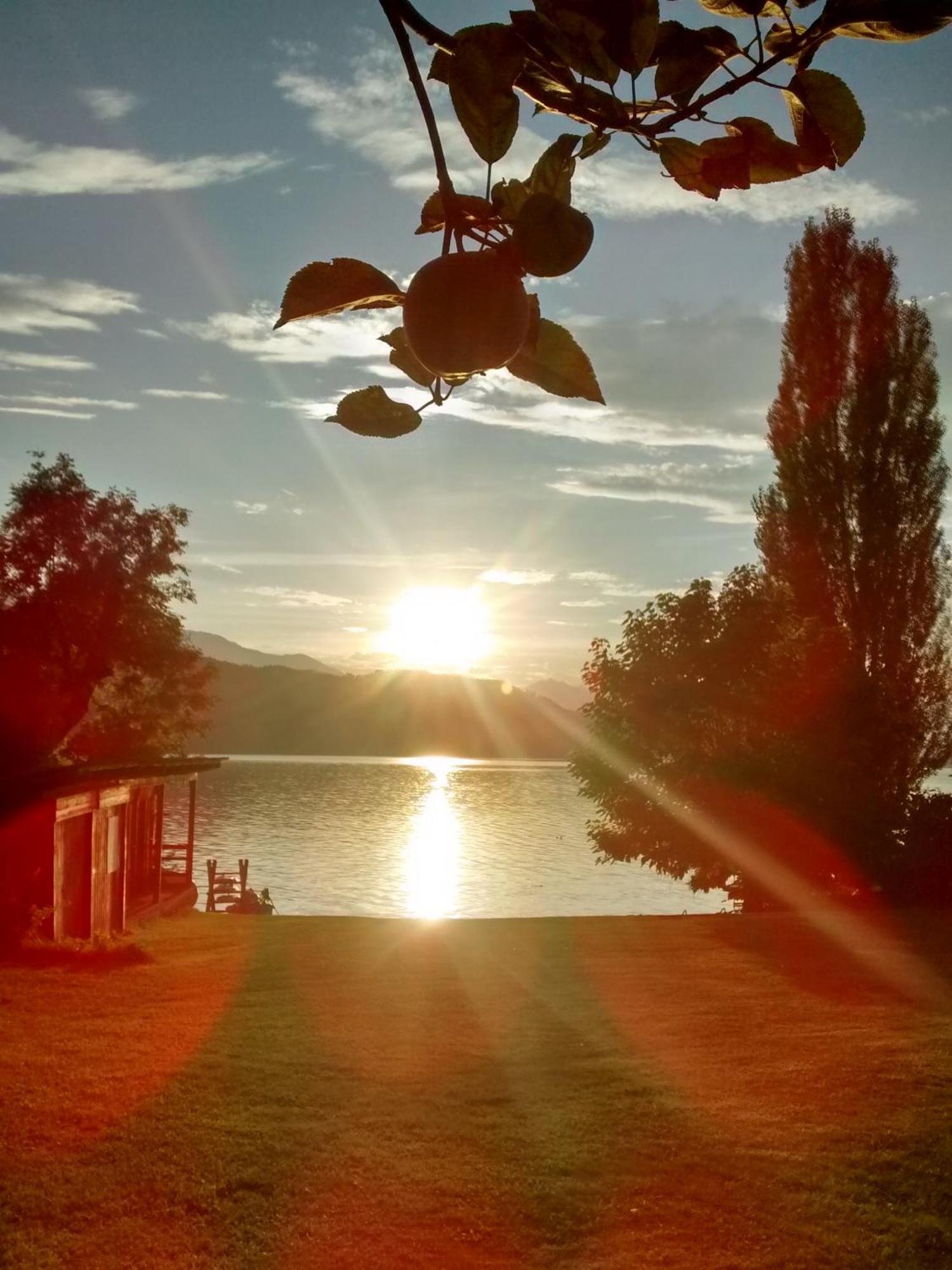Ferienwohnungen Fischerhaus - Direkt Am See Милщат Екстериор снимка