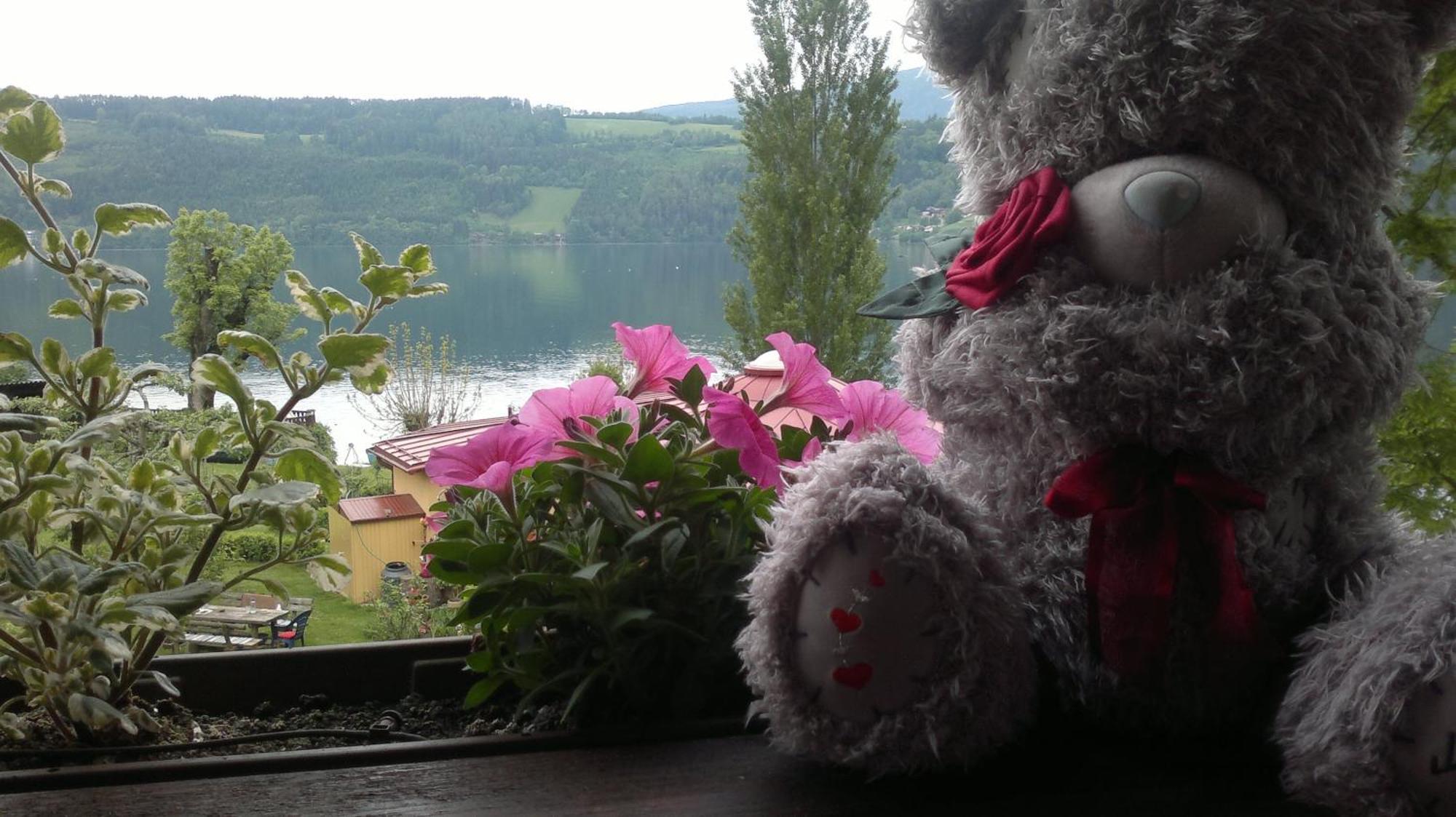 Ferienwohnungen Fischerhaus - Direkt Am See Милщат Екстериор снимка